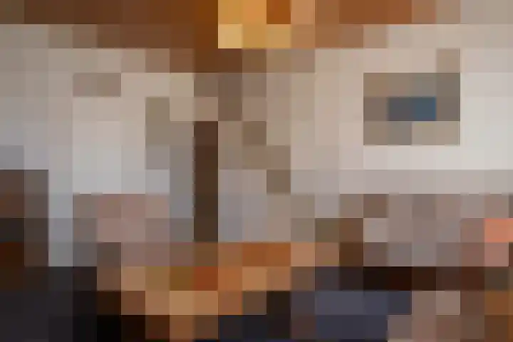 Zeedorp 10 a Ossenisse thumbnail 7
