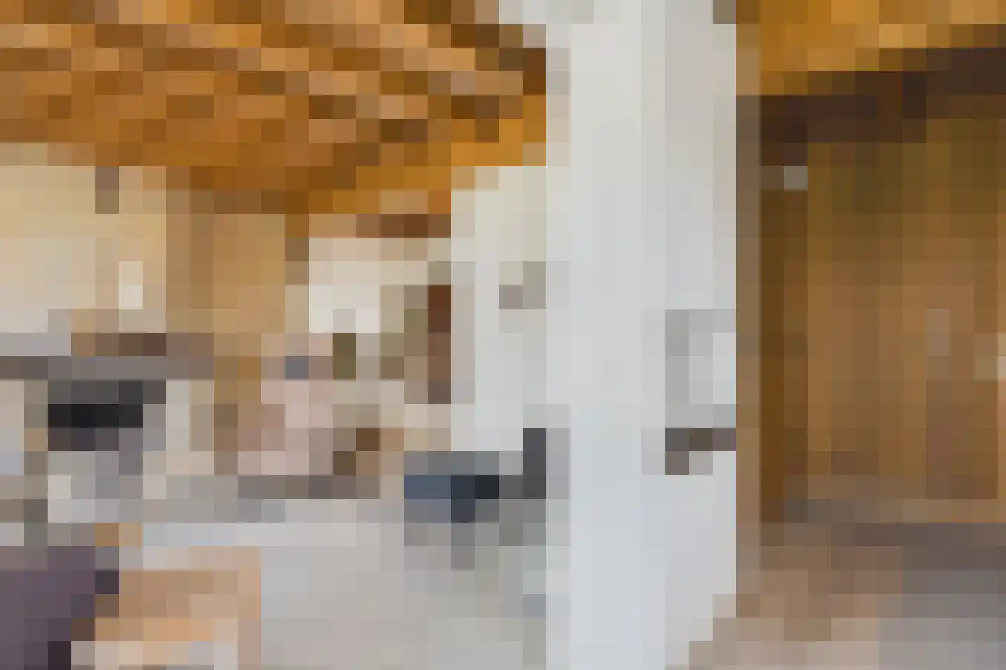 Zeedorp 7 Ossenisse thumbnail 12