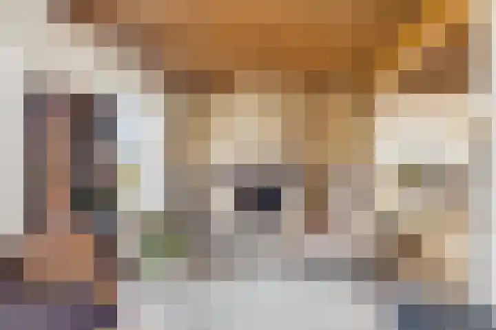 Zeedorp 7 Ossenisse thumbnail 13
