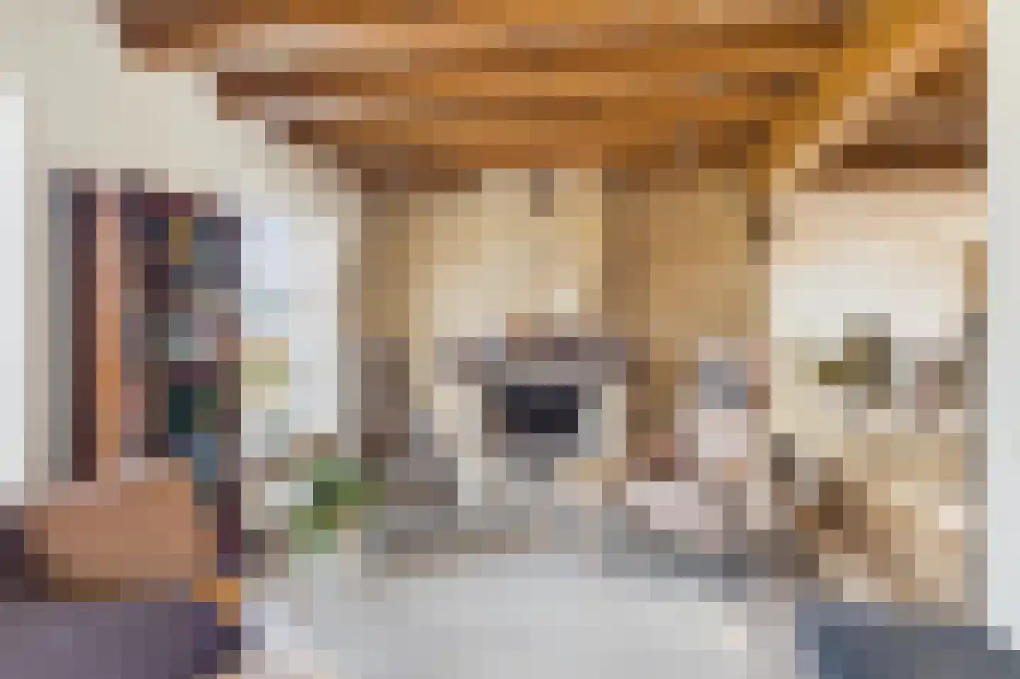 Zeedorp 7 Ossenisse thumbnail 13