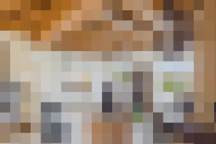 Zeedorp 7 Ossenisse thumbnail 15
