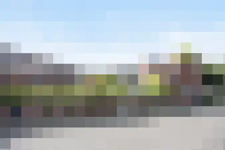 Zeedorp 7 Ossenisse thumbnail 18