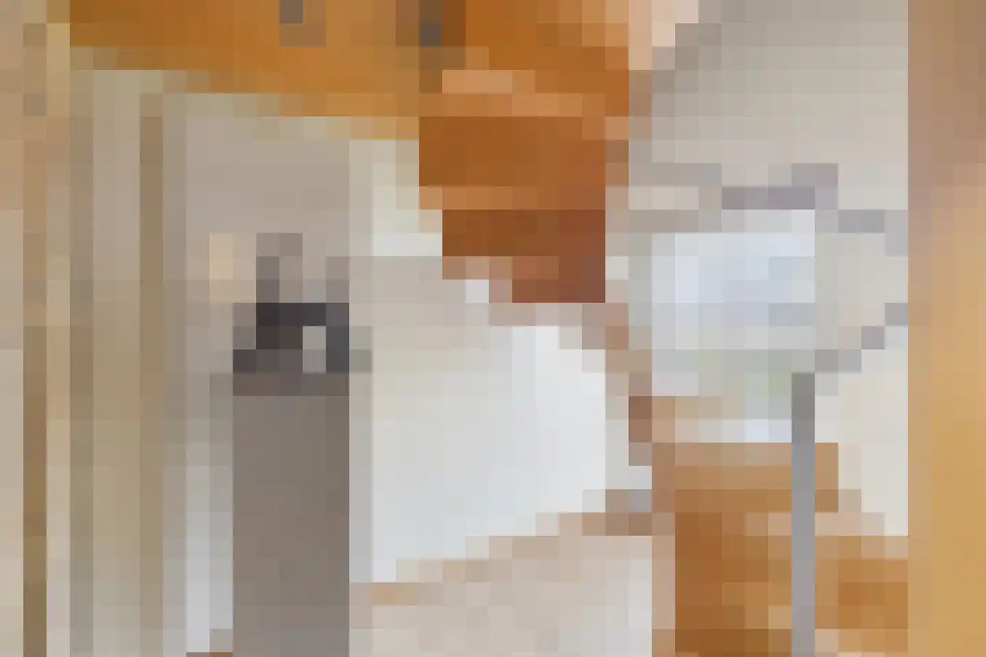Zeedorp 7 Ossenisse thumbnail 21