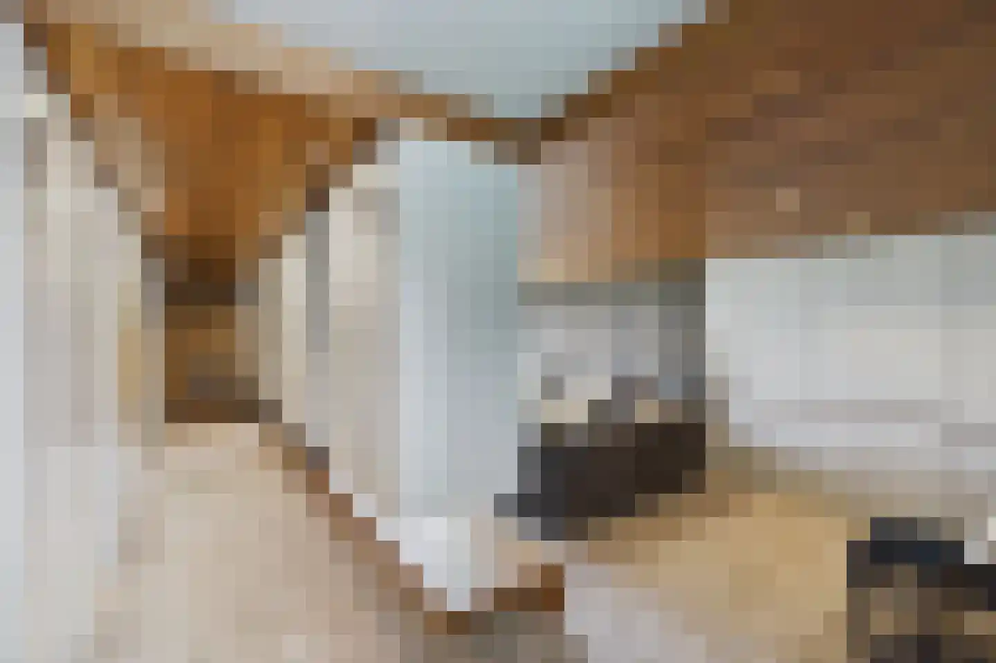 Zeedorp 7 Ossenisse thumbnail 24