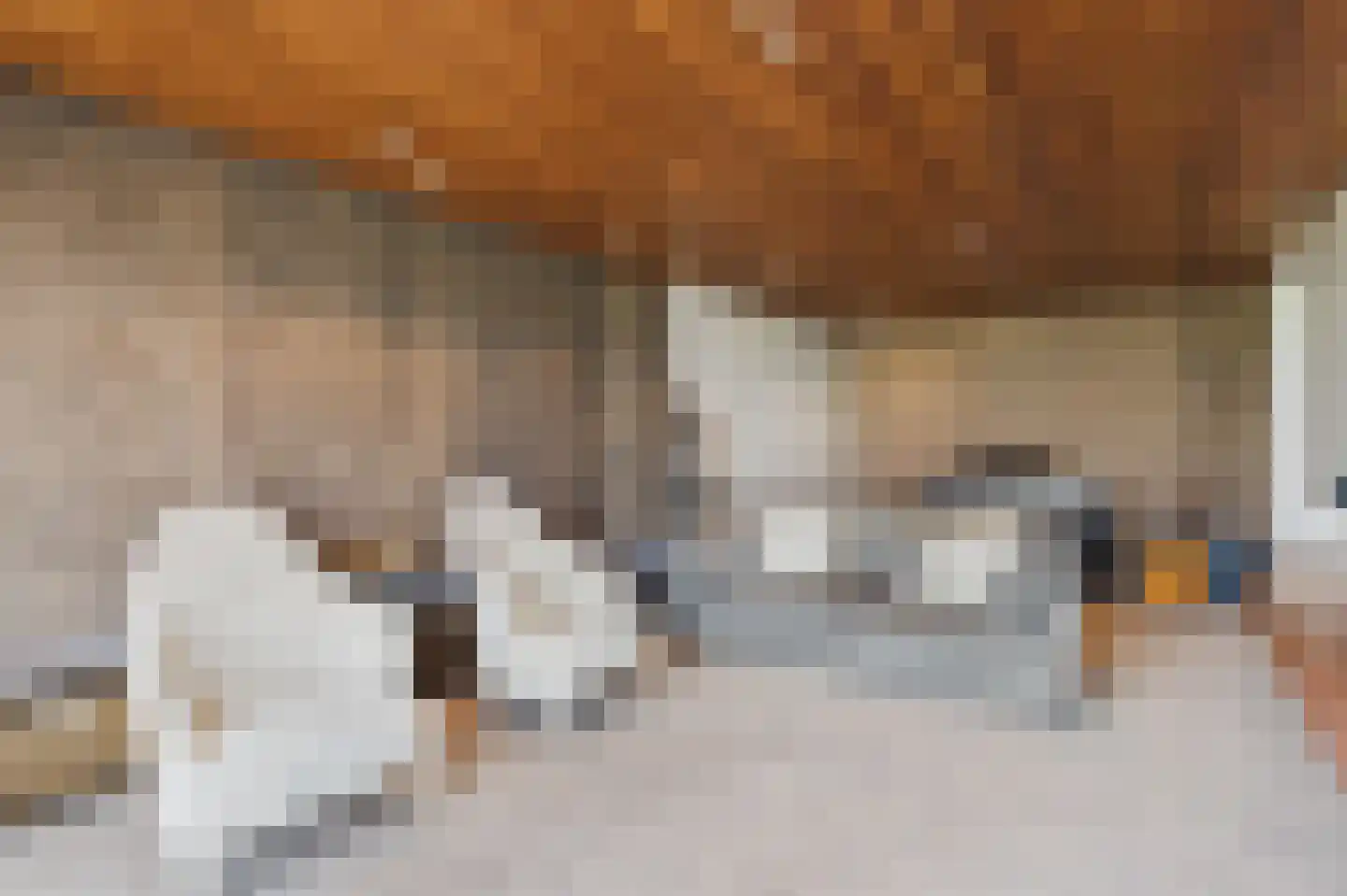 Zeedorp 7 Ossenisse thumbnail 27