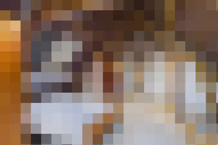 Zeedorp 7 Ossenisse thumbnail 31
