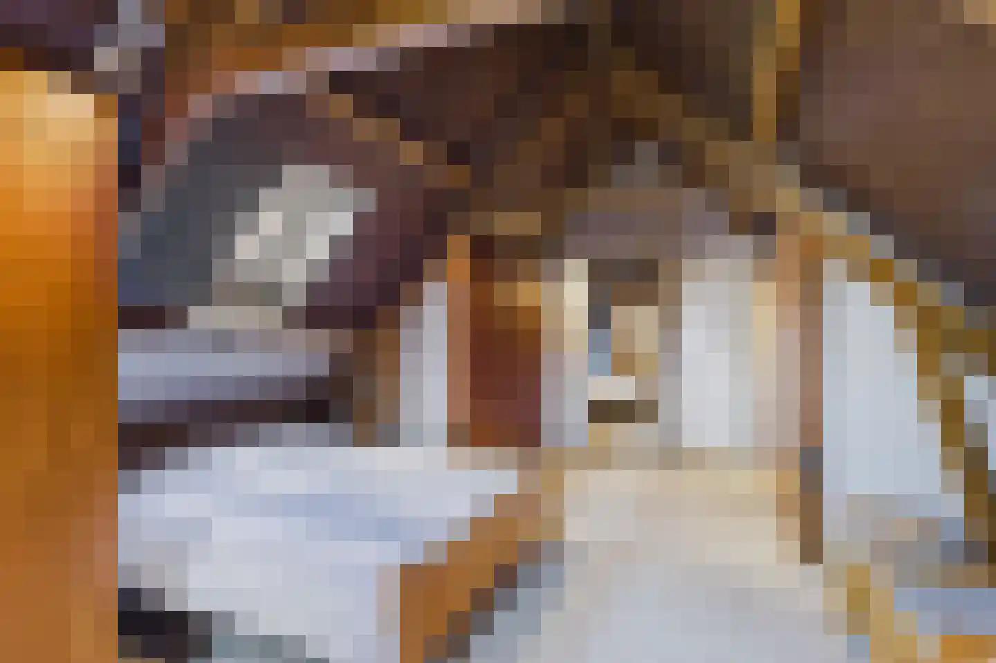 Zeedorp 7 Ossenisse thumbnail 31