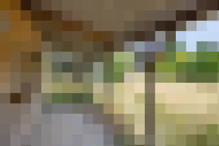 Zeedorp 7 Ossenisse thumbnail 38