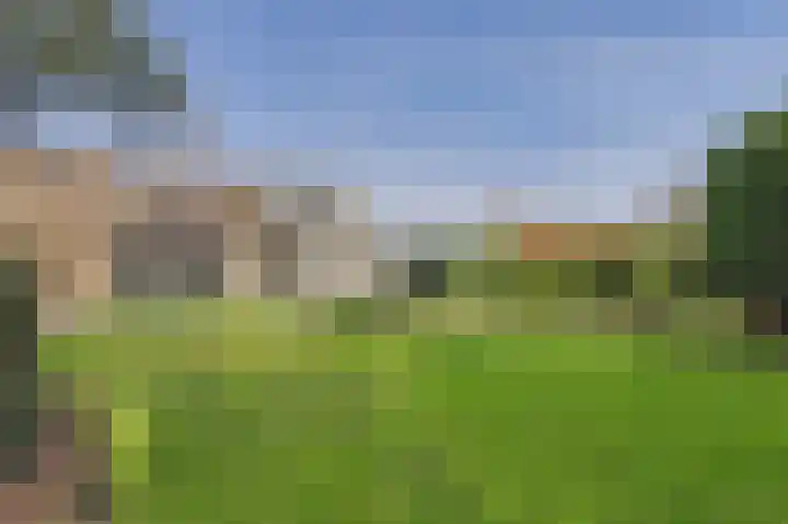 Zeedorp 7 Ossenisse thumbnail 39