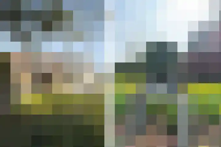 Zeedorp 7 Ossenisse thumbnail 41