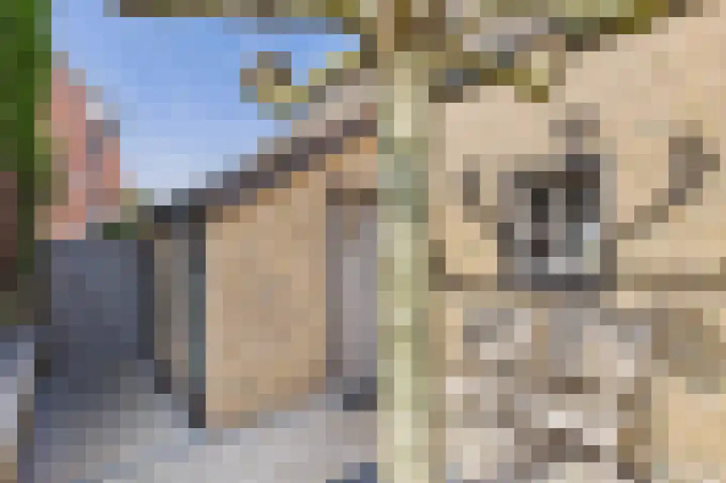 Zeedorp 7 Ossenisse thumbnail 44