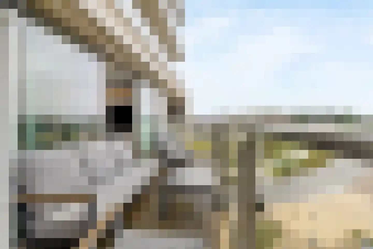 Zeeduinweg 30 Almere thumbnail 24