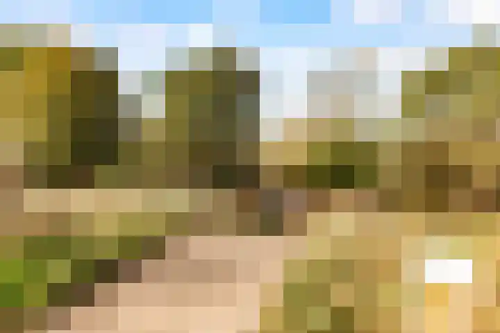 Zeeduinweg 398 Almere thumbnail 41