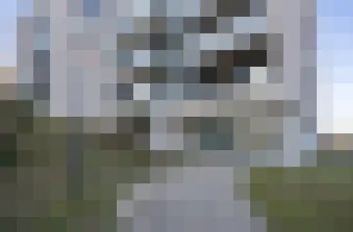 Zeeduinweg 6 Almere thumbnail 4