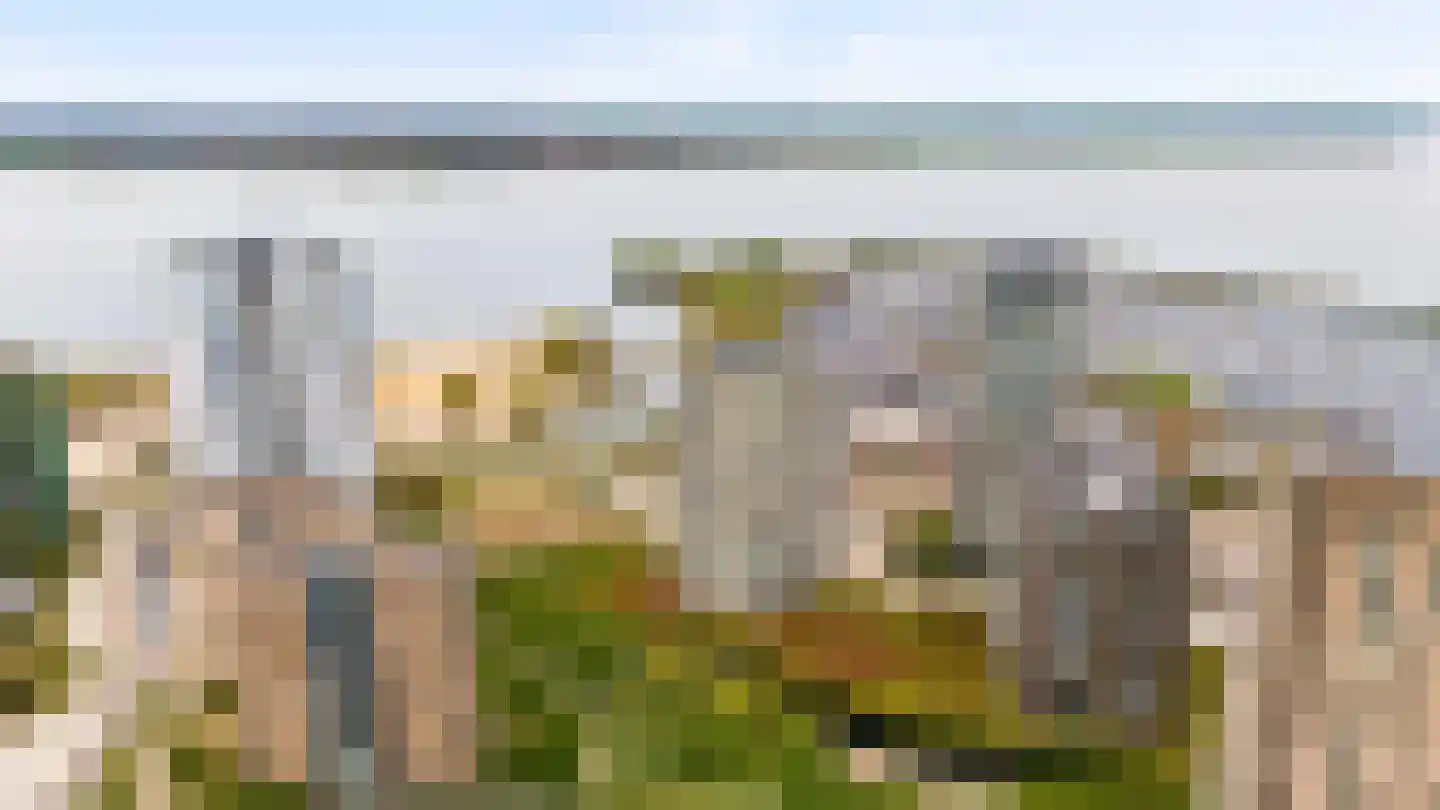 Zeeduinweg 666 Almere thumbnail 59