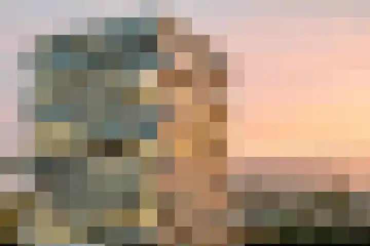 Zeeduinweg 680 Almere