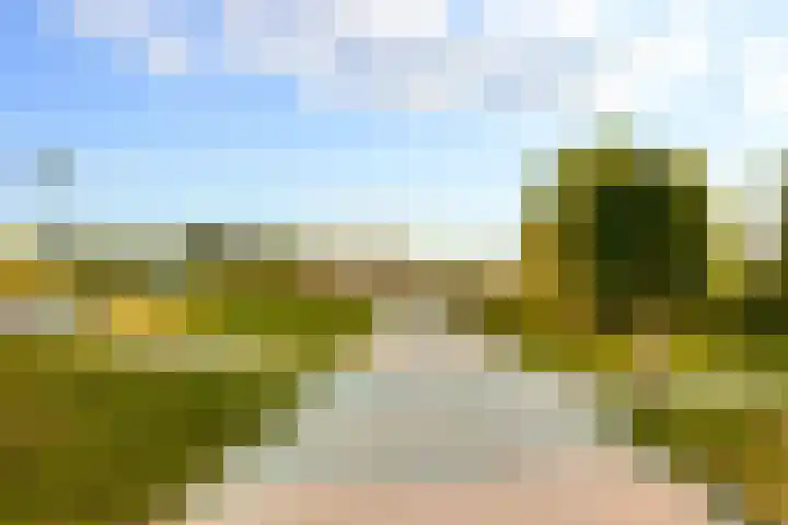Zeeduinweg 680 Almere thumbnail 45