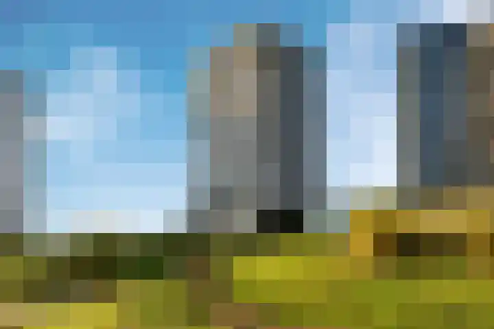 Zeeduinweg 680 Almere thumbnail 59
