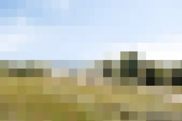 Zeeduinweg 682 Almere thumbnail 33