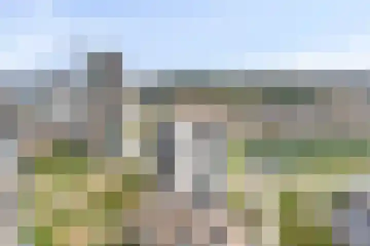 Zeeduinweg 696 Almere thumbnail 29