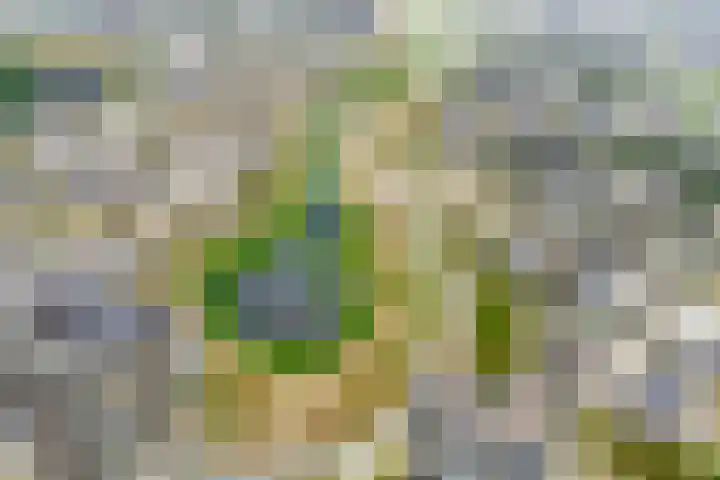 Zeeduinweg 696 Almere thumbnail 30