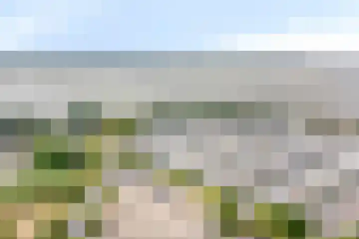 Zeeduinweg 696 Almere thumbnail 43