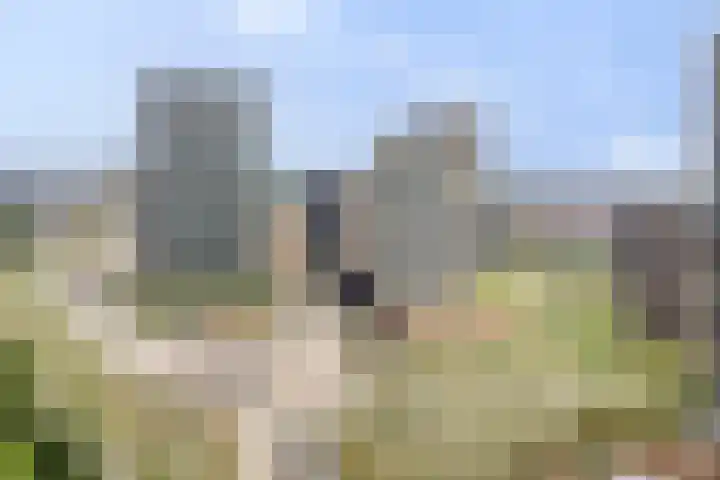 Zeeduinweg 696 Almere thumbnail 47