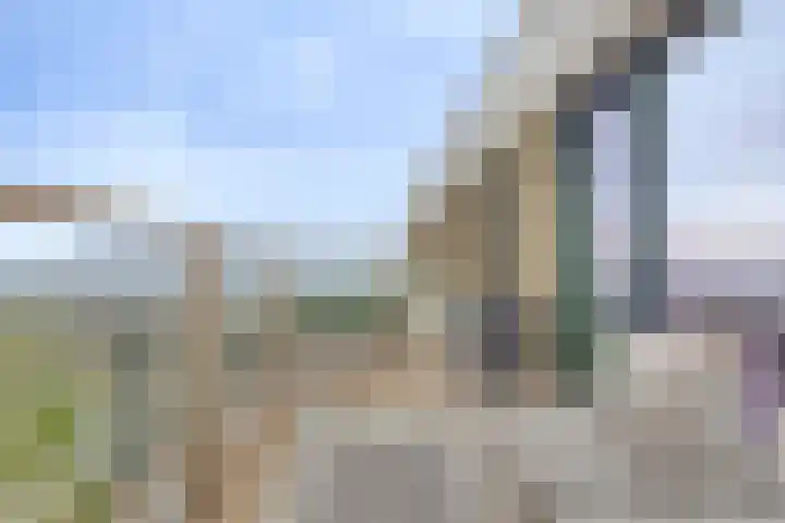 Zeeduinweg 696 Almere thumbnail 9