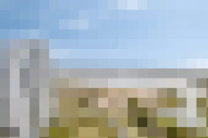 Zeeduinweg 698 Almere thumbnail 12