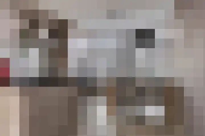 Zeefdruk 23 Meppel thumbnail 13