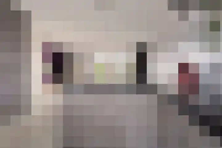 Zeefdruk 23 Meppel thumbnail 15