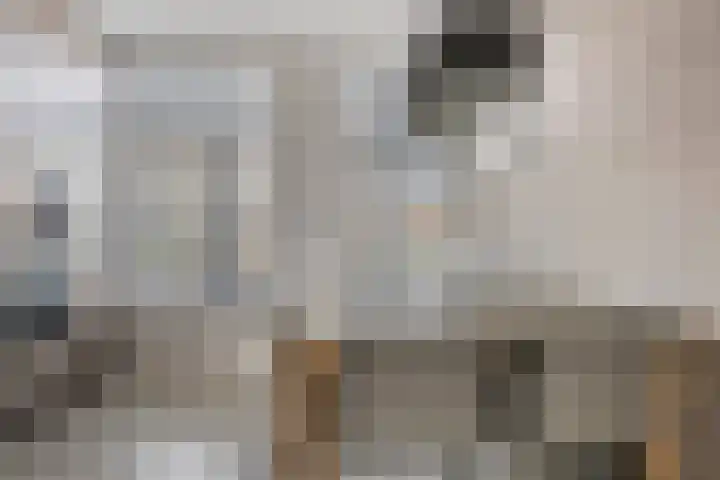 Zeefdruk 23 Meppel thumbnail 16
