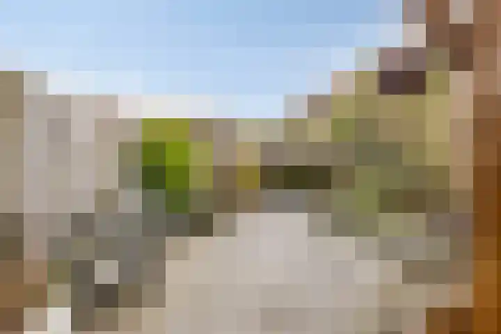 Zeefdruk 23 Meppel thumbnail 35