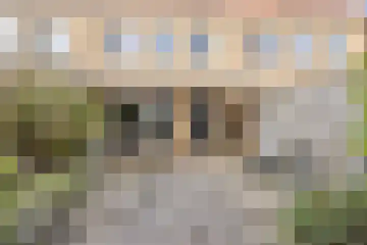 Zeefdruk 23 Meppel thumbnail 37