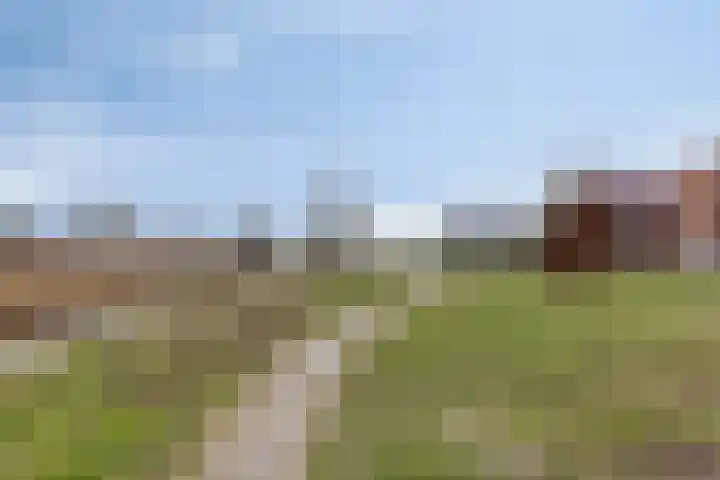 Zeefdruk 23 Meppel thumbnail 43