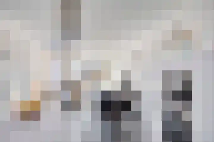 Zeefdruk 27 Meppel thumbnail 10