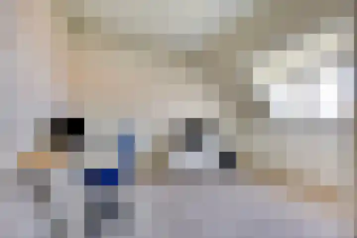 Zeefdruk 27 Meppel thumbnail 22