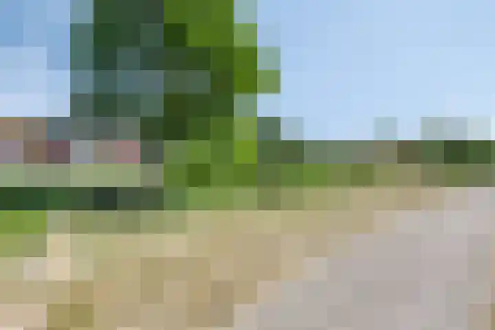 Zeefdruk 27 Meppel thumbnail 32