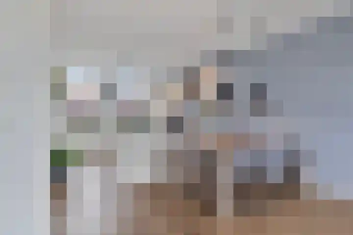Zeefdruk 5 Meppel thumbnail 13