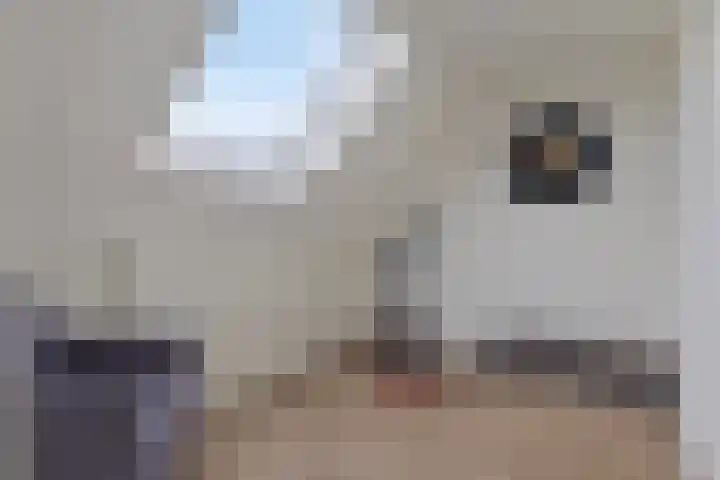 Zeefdruk 5 Meppel thumbnail 28
