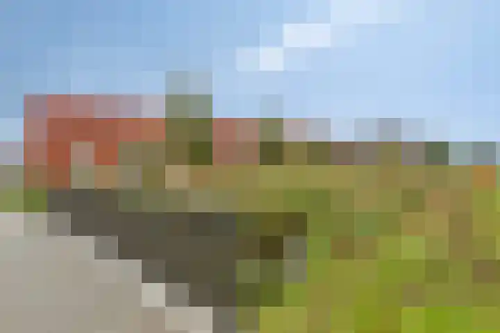 Zeefdruk 5 Meppel thumbnail 39