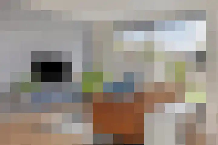 Zeefdruk 5 Meppel thumbnail 8