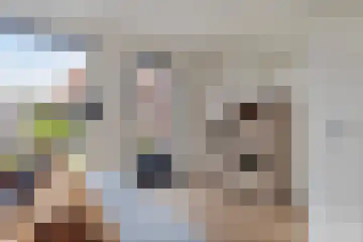 Zeefdruk 5 Meppel thumbnail 9