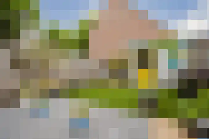 Zeefvoorde 26 Spijkenisse thumbnail 17