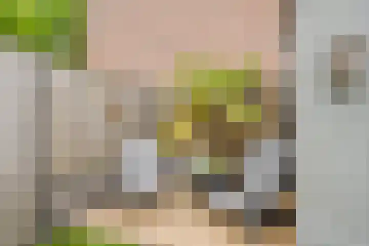 Zeefvoorde 26 Spijkenisse thumbnail 18