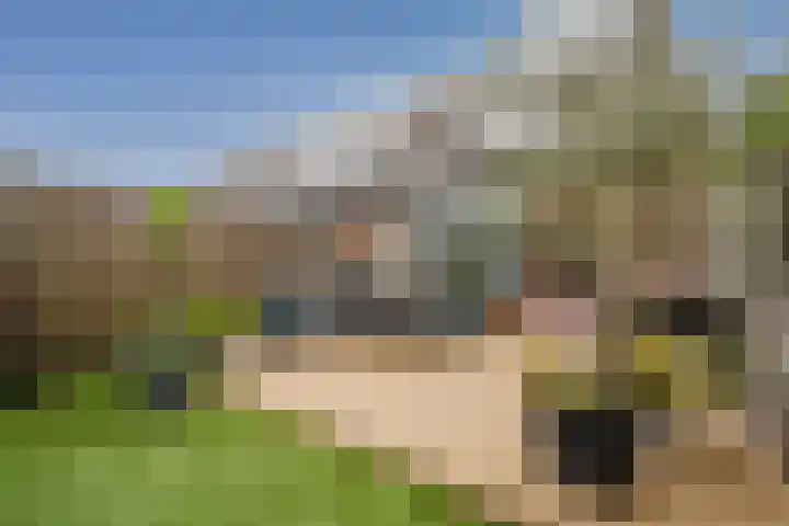 Zeefvoorde 26 Spijkenisse thumbnail 19