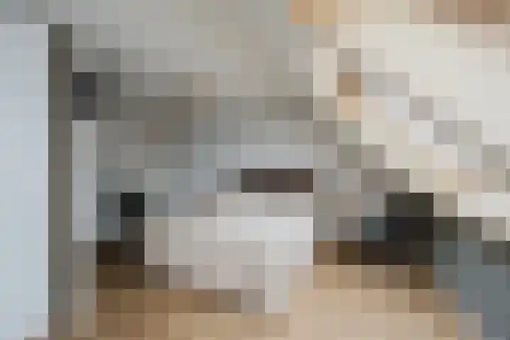 Zeefvoorde 26 Spijkenisse thumbnail 22