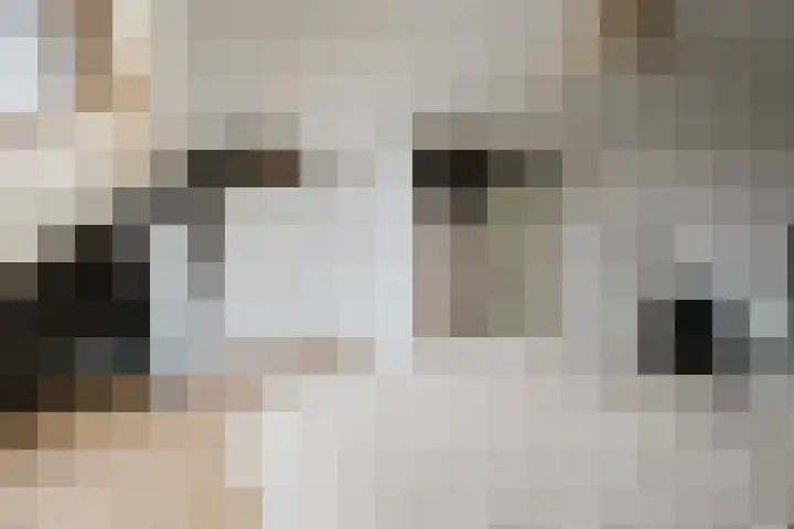 Zeefvoorde 26 Spijkenisse thumbnail 23