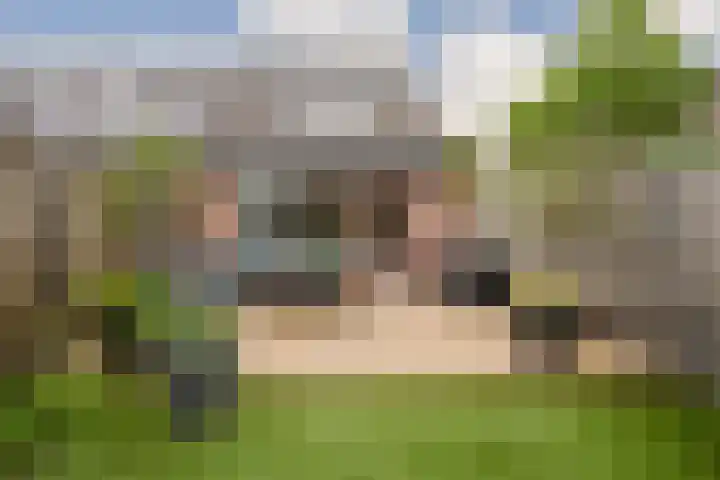 Zeefvoorde 26 Spijkenisse thumbnail 4