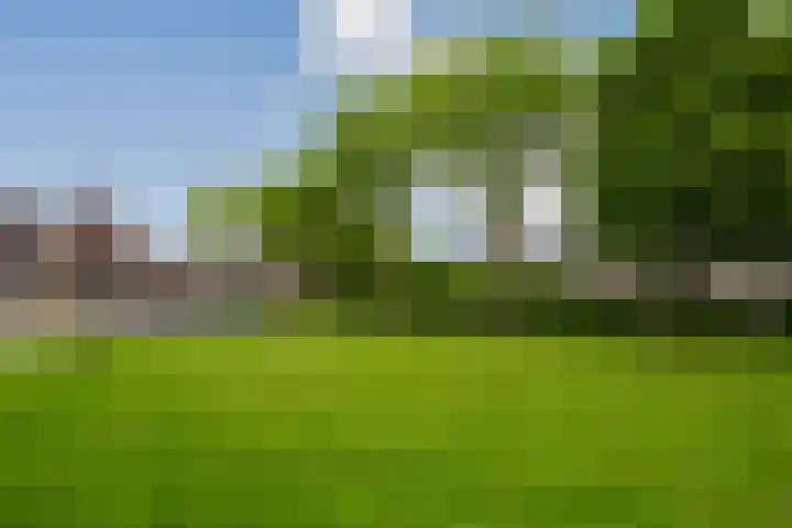Zeefvoorde 26 Spijkenisse thumbnail 6